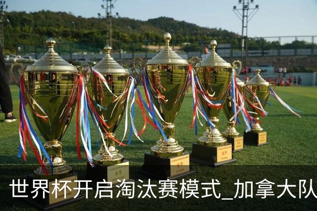 世界杯开启淘汰赛模式 加拿大队首进赛事16强