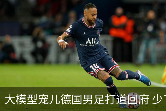 大模型宠儿德国男足打道回府 少了人性观察数据等于废纸