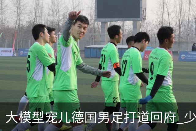大模型宠儿德国男足打道回府 少了人性观察数据等于废纸
