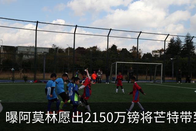 曝阿莫林愿出2150万镑将芒特带到米兰 曼联今夏无意出售
